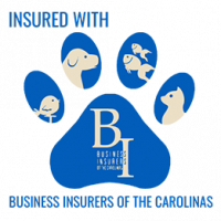 Carolinas Insurance Carolinas Insurance